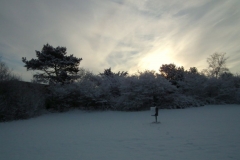 Winter_09